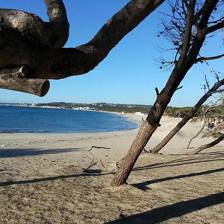 In Rivabella Near The * ガリポリ